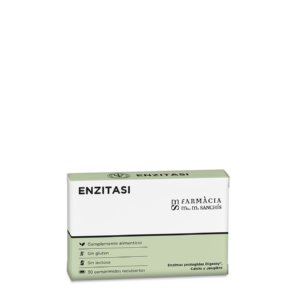 Enzitasi